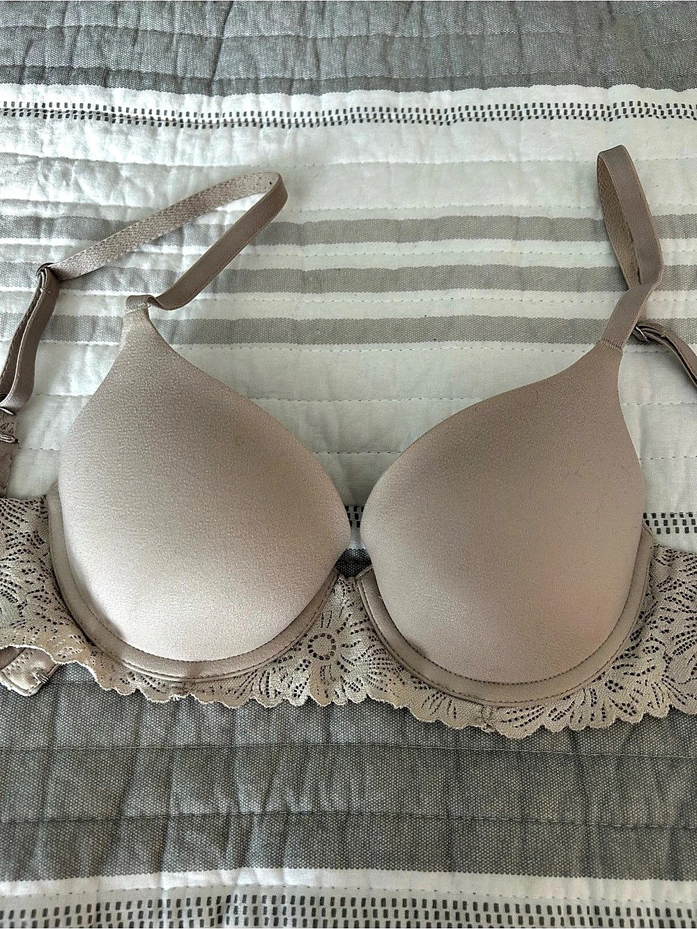 Aerie Beige Lace Push Up Bra